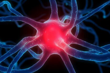 17h9uu38lg408jpg e1430942712313 العلماء يقومون بعكس أحاسيس الفئران عن طريق التحكم بأدمغتها مجلة نقطة العلمية