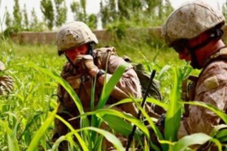 upload142743654466629 thumb e1431462176700 تقنية (DARPA) الجديدة لتحديد المواقع مجلة نقطة العلمية