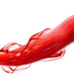 2 1 e1433186033440 كيف يخدع الفلفل الحار أعصابنا مجلة نقطة العلمية