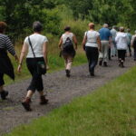 Walking for Health in Epsom 5Aug2009 2 e1433793598137 القليل من رياضة المشي يحسن الصحة كثيرا بشكل لا تتخيله مجلة نقطة العلمية