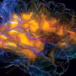 glassbrain 0 e1433881020227 الأشعة الكونية قد تؤدي لتغيير بنية أدمغة رواد الفضاء مجلة نقطة العلمية