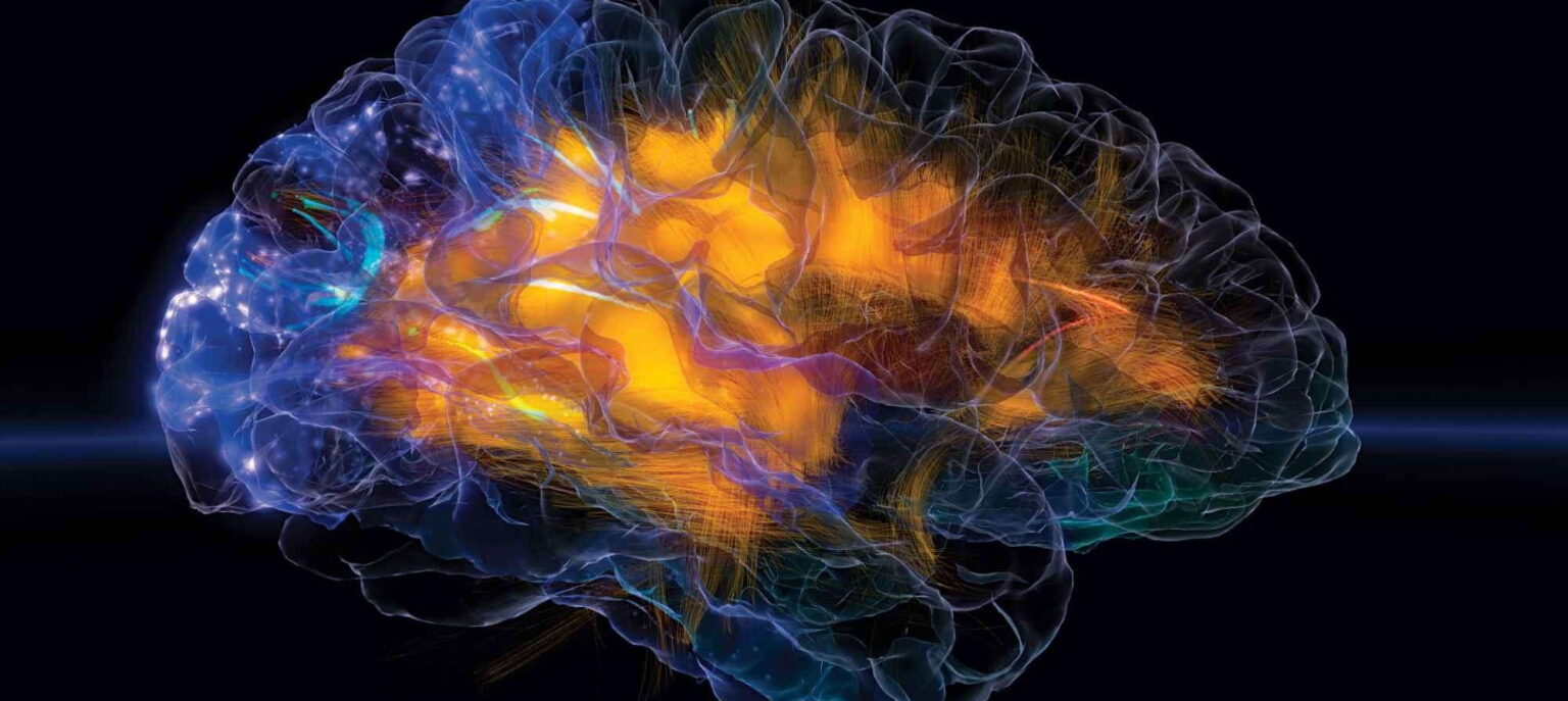 glassbrain 0 e1433881020227 الأشعة الكونية قد تؤدي لتغيير بنية أدمغة رواد الفضاء مجلة نقطة العلمية