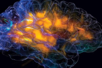 glassbrain 0 e1433881020227 الأشعة الكونية قد تؤدي لتغيير بنية أدمغة رواد الفضاء مجلة نقطة العلمية