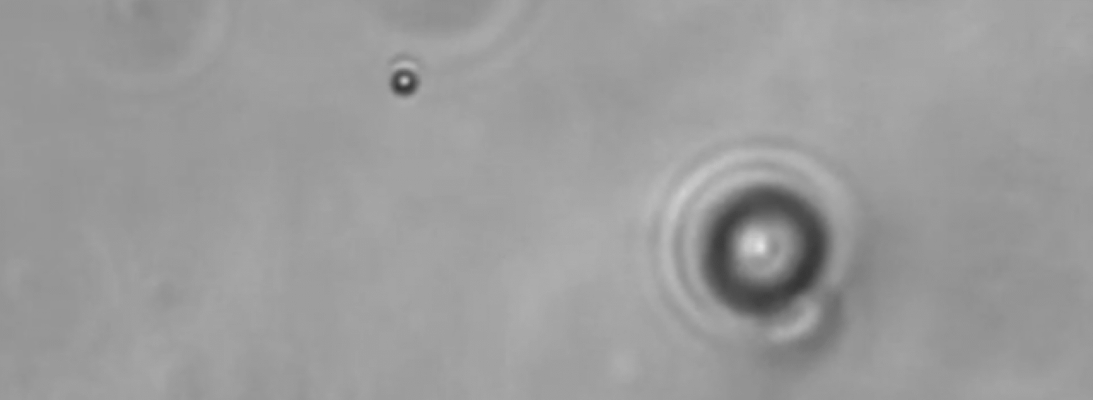 screen shot 2015 04 30 at 11.09.07 am e1433791360575 تطوير جسيمات تستطيع التحرك بعكس اتجاه جريان السوائل مجلة نقطة العلمية