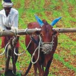 Agriculture India e1439662910471 الزراعة البيوديناميكية مجلة نقطة العلمية