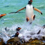 National Geographic Traveler Photo Contest 2015 الصور الـ20 الأكثر إذهالاً الفائزة في مسابقة "ناشيونال جيوجرافيك للسفر" مجلة نقطة العلمية