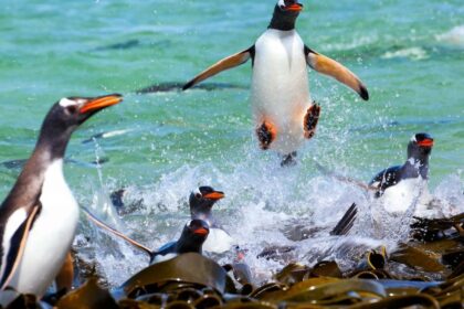 National Geographic Traveler Photo Contest 2015 الصور الـ20 الأكثر إذهالاً الفائزة في مسابقة "ناشيونال جيوجرافيك للسفر" مجلة نقطة العلمية