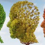 bigstock Brain Aging 46500448 e1440773638330 8 طرق للحفاظ على صحة الدماغ مع تقدمنا في العمر مجلة نقطة العلمية