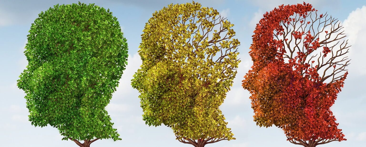 bigstock Brain Aging 46500448 e1440773638330 8 طرق للحفاظ على صحة الدماغ مع تقدمنا في العمر مجلة نقطة العلمية