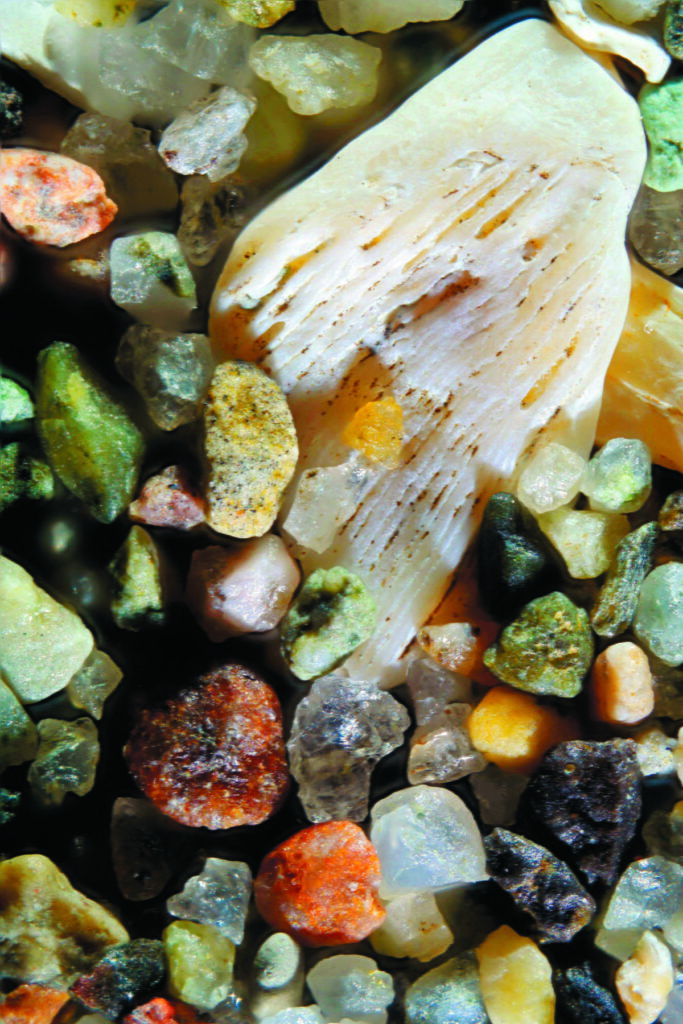 pg_115