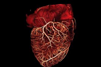 heart 3d ct scan e1451985933214 صناعة أوعية دموية بشرية باستخدام طابعة ثلاثية الأبعاد مجلة نقطة العلمية