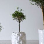 pot 1 e1451334108221 أهلًا بك في عالم التكنولوجيا المدهشة: إصيص هندسي ينمو مع النباتات مجلة نقطة العلمية