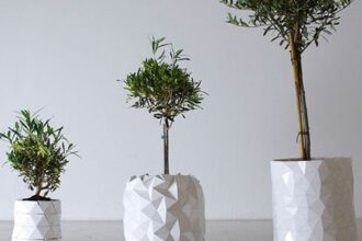 pot 1 e1451334108221 أهلًا بك في عالم التكنولوجيا المدهشة: إصيص هندسي ينمو مع النباتات مجلة نقطة العلمية
