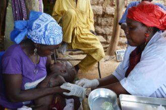 Niger مضاد حيوي تقليدي يخفض وفيات الرضع في إفريقيا بنسبة 25% مجلة نقطة العلمية