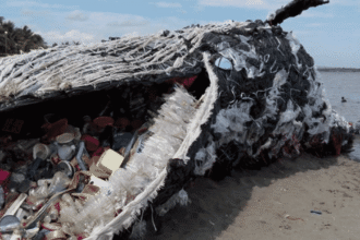 Plastic Wastes e1529345082242 5 أضرارٍ وفائدة واحدة يقدمها البلاستيك للبيئة، تعرّف عليها.. مجلة نقطة العلمية