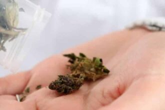 potwithpaten e1538979900437 حظر استخدام الماريجوانا في علاج انقطاع التنفس النومي مجلة نقطة العلمية