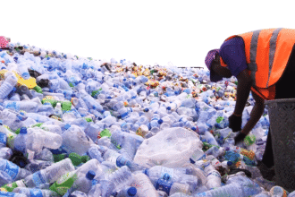 recycling in africa employee sorts empty bottles and containers at recycling center 1080p hd lagos nigeria circa may 2014 4kqbg8 a F0000 ثورةٌ قادمةٌ في عالم إعادة تدوير النفايات مجلة نقطة العلمية