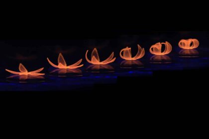 طباعة رباعية الأبعاد