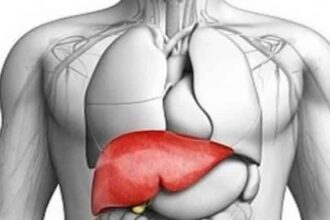 Liver Health Photo credit YouTube 1062x598 e1537654377325 كيف نحافظ على صحة الكبد عبر غذائنا؟ مجلة نقطة العلمية