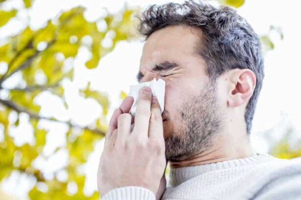 allergies gettyimages 670886993 e1540495685236 إذا كنت تعاني من الحساسية... إليك بعض الطرق للتخلص منها مجلة نقطة العلمية