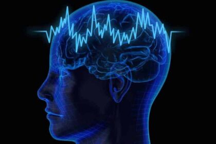 anextgeneegc e1540494154726 جهاز يعزز موجات الدماغ و يحسن الذاكرة مجلة نقطة العلمية