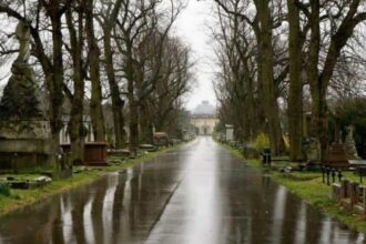 fixedw large 4x e1539003581999 علميًا: ما سبب الرائحة المنعشة بعد سقوط المطر؟ مجلة نقطة العلمية