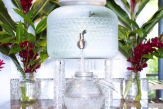 live water e1539718243509 حلول طبيعية: نباتات يمكنها التخلص من السموم الموجودة في المياه! مجلة نقطة العلمية