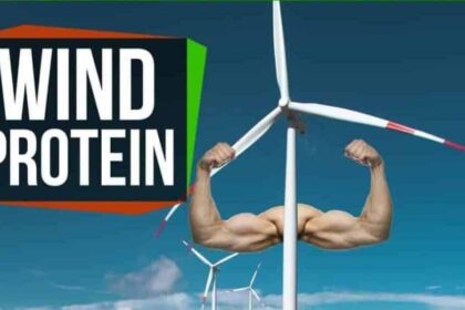 b134bd3472e7b24405b46ece21bafcb6 e1542698419687 كيف يسعى المهندسين لتحويل طاقة الرياح إلى بروتين؟ مجلة نقطة العلمية