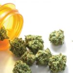 الماريجوانا الطبية متاحة في تايلاند