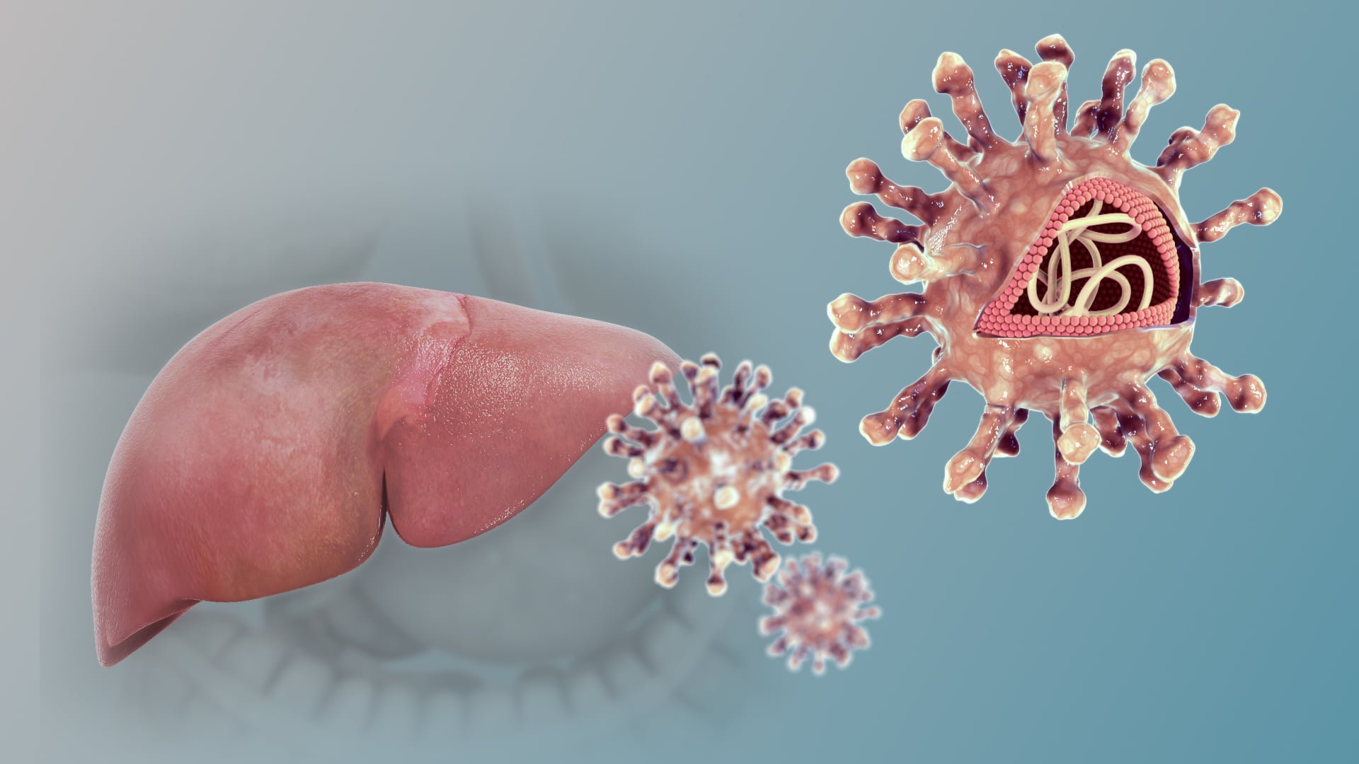 Hepatitis C مجلة نقطة العلمية