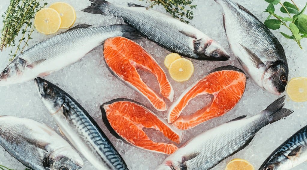 How To Eat Good Food For Brain Health Fatty Fish مجلة نقطة العلمية