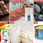 36604572 9031043 image a 44 1607452295442 6 أطعمة يعتقد العلماء أنها تقي من عدوى Covid-19 الشديدة مجلة نقطة العلمية