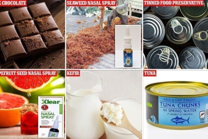 36604572 9031043 image a 44 1607452295442 6 أطعمة يعتقد العلماء أنها تقي من عدوى Covid-19 الشديدة مجلة نقطة العلمية