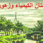 park convert parks garden cabinet orchard بستان الكيمياء وزهورها مجلة نقطة العلمية