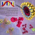mrna الحمض النووي