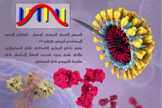 mrna الحمض النووي
