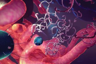 3dval unsw 02 web كن صيادًا للأمراض الخطيرة من خلال تتبع هياكل الخلايا عبر "Etch A Cell" مجلة نقطة العلمية