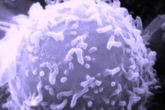 960x0 1 1 Covid-19 و المناعة المكتسبة..بعد الشفاء هل يمكن أن تصاب مرة أخرى؟ مجلة نقطة العلمية