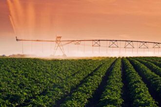 cfcbf4 web الطاقة الحيوية مع احتجاز الكربون وتخزينه (BECCS) قد تسبب نقصا في المياه لـ 4.5 مليار شخص مجلة نقطة العلمية