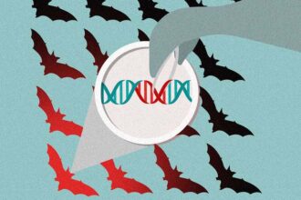 200822 comment اللقاحات ذاتية الانتشار..الحل لوقف انتقال أمراض الحيوانات مثل "كوفيد -19" إلى البشر مجلة نقطة العلمية