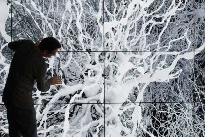 in silico web In Silico..مشروع طموح لإعادة تكوين الدماغ البشري مجلة نقطة العلمية