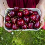 image يحمي من السكري ويحد من الكوليسترول..7 فوائد صحية لـ"الكرز" مجلة نقطة العلمية