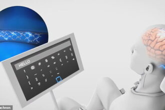 46001583 9835237 New York based Synchron announced Wednesday that it has received a 2 1627485374997 "Stentrode" شريحة دماغية تعيد الأمل لمرضى الشلل مجلة نقطة العلمية