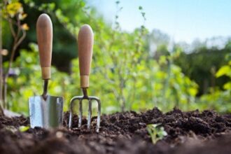 WhatsApp Image 2021 08 10 at 21.39.36 التحديات البيئية في ظل التغيرات المناخية مجلة نقطة العلمية