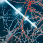 Pulsed Electrical Stimulation Drives Neuromodulation 777x389 1 أبحاث التحفيز العميق للدماغ تظهر نتائج واعدة لعلاج مرض باركنسون مجلة نقطة العلمية