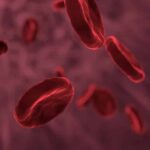 dementia blood neurosnces public رحلة سريعة داخل الوحدة البنائية للكائنات: الخلية الحيوانية مجلة نقطة العلمية