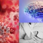 1400100712504550024371944 فيروس كورونا المسبب لـ COVID-19 ينتشر في جميع أنحاء الجسم والدماغ! مجلة نقطة العلمية