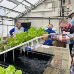 1637776287410 الزراعة المائية وسيلة ناجعة لإنتاج الغذاء المستدام بدون تربة! مجلة نقطة العلمية