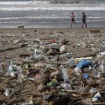 3500 الميكروبات في المحيطات والتربة في جميع أنحاء العالم تتطور لأكل البلاستيك! مجلة نقطة العلمية