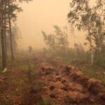 NTECUWNEBNP3RD4NXI72OZCJGA النفايات البحرية: كارثة جديدة تضرب القطب الشمالي مجلة نقطة العلمية